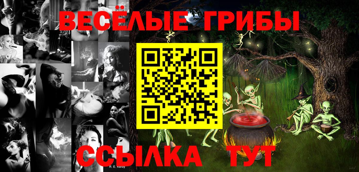 Псилоцибиновые грибы GOLDEN TEACHER Кашира