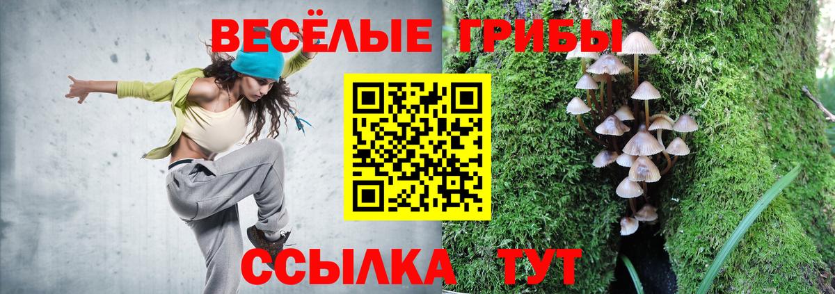 Кашира  Галлюциногенные грибы MAGIC MUSHROOMS  Вход с VPN  Псилоцибиновые грибы мицелий 